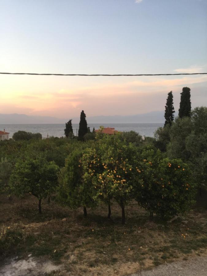Lovely Apartment Next To The Sea Lygia Korinthias Ligia  Extérieur photo